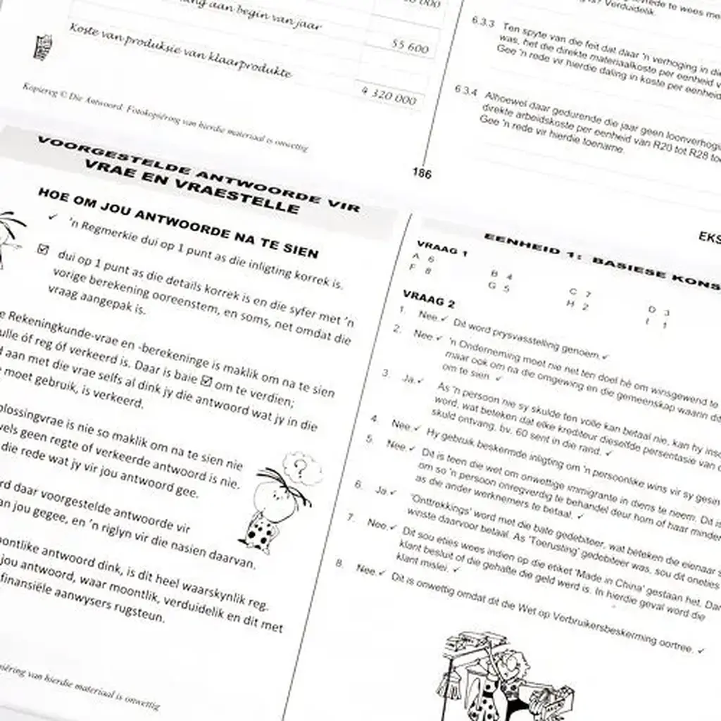 Die Antwoord-Reeks: Gr 12 Rekeningkunde 3in1 Studiegids