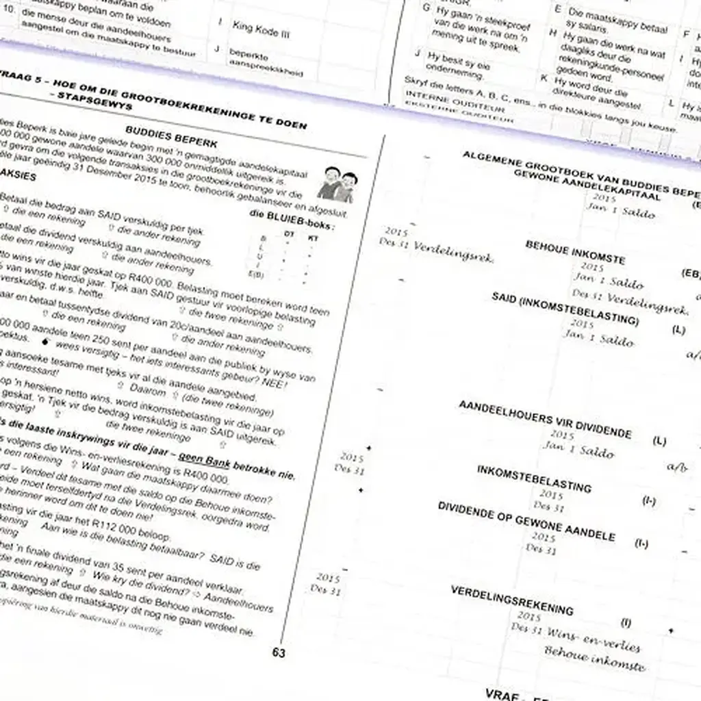 Die Antwoord-Reeks: Gr 12 Rekeningkunde 2in1 Studiegids