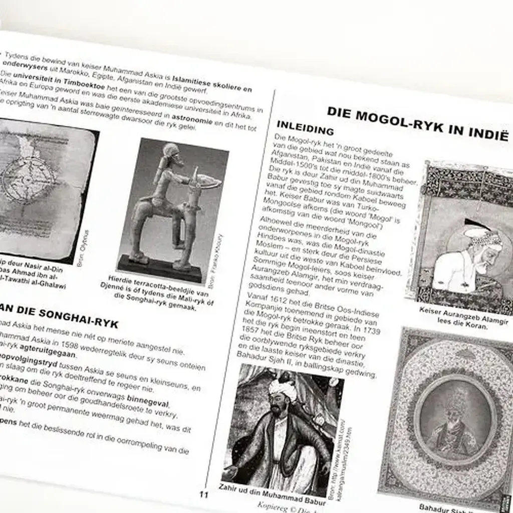 Die Antwoord-Reeks: Gr 10 Geskiedenis 3in1 Studiegids