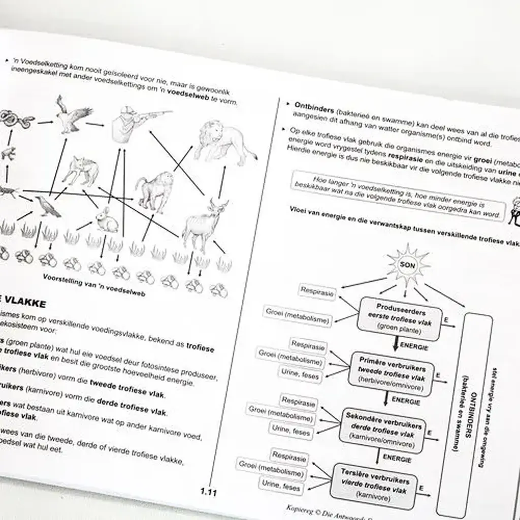 Die Antwoord-Reeks: Gr 10 Lewenswetenskappe 3in1 Studiegids KABV